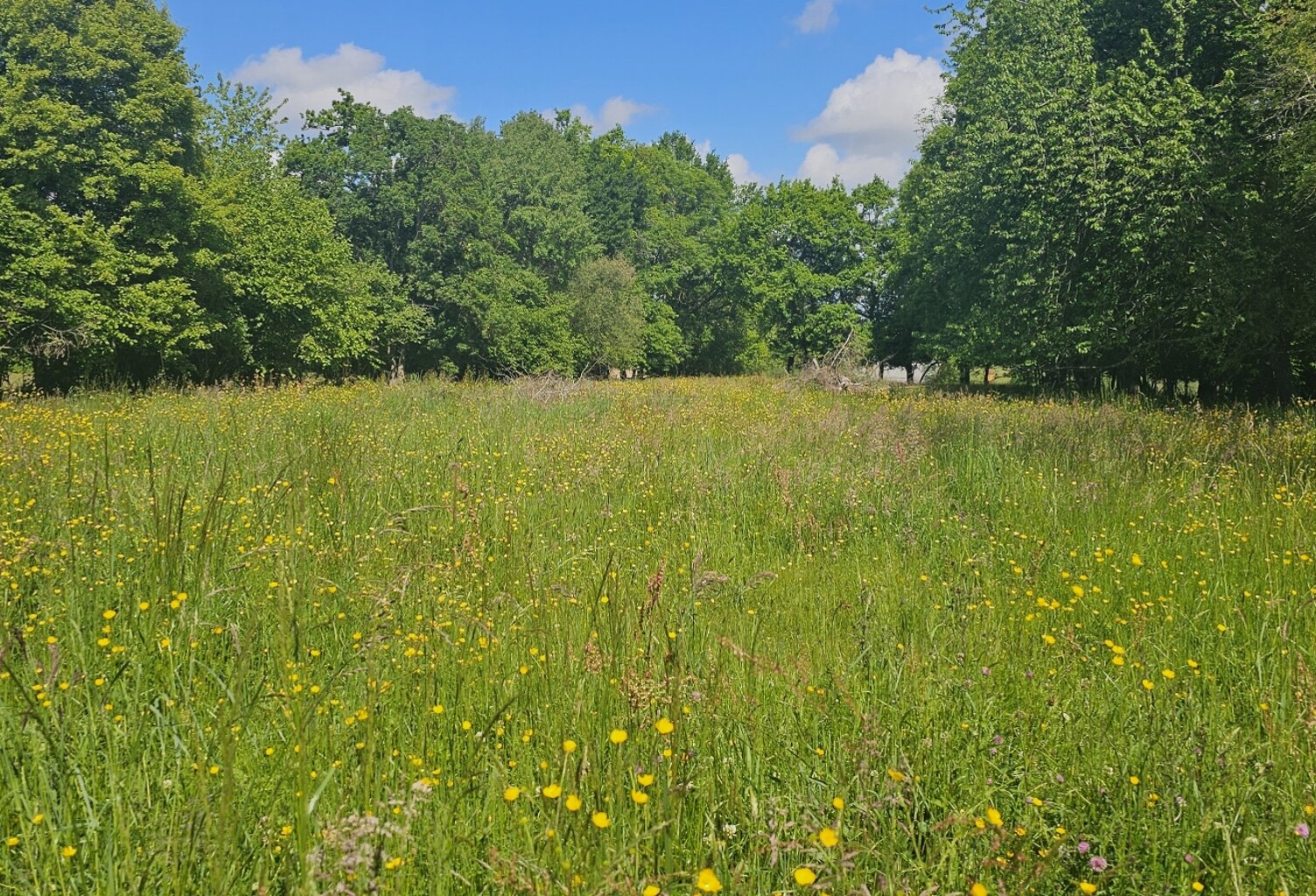 Vente Terrain 5 181 m&sup2; — photo 1