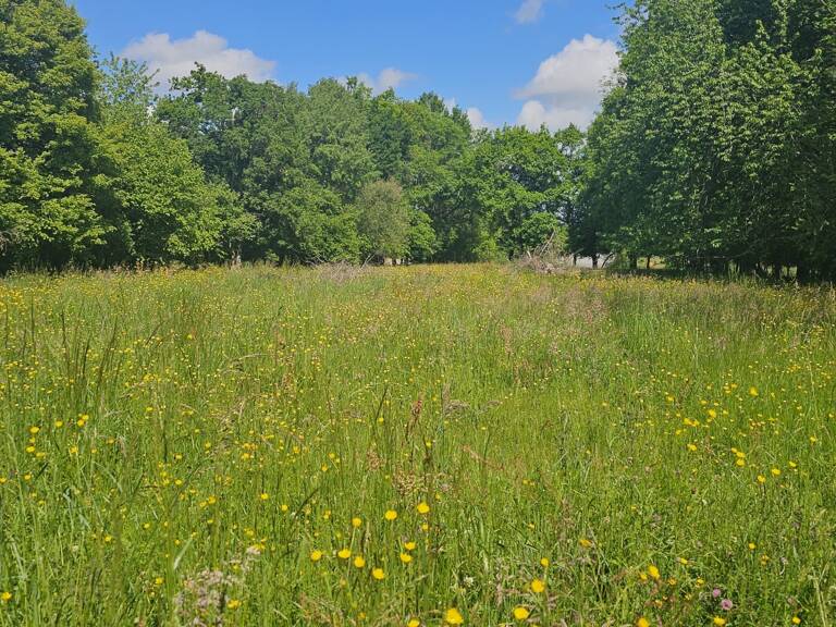 Vente Terrain 5 181 m&sup2; — photo 1