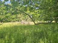 Vente Terrain 5 181 m&sup2; — photo 4