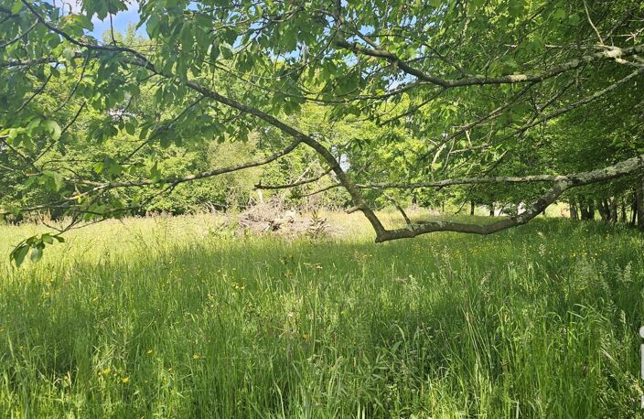 Vente Terrain 5 181 m&sup2; — photo 4