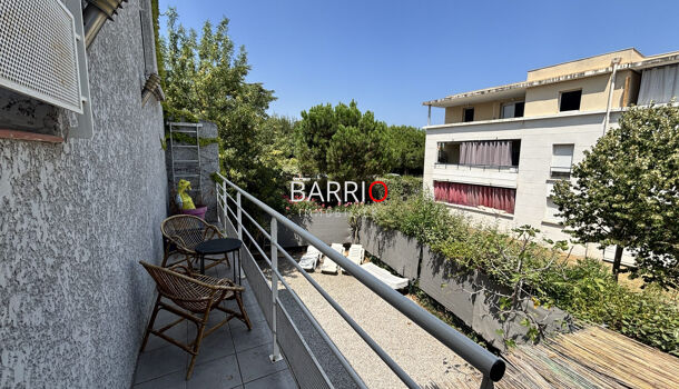Appartement  à louer Argelès-sur-Mer 66700