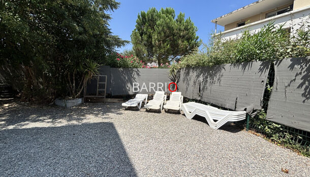 Appartement  à louer Argelès-sur-Mer 66700