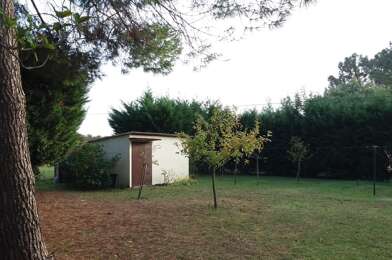 Terrain  110000 €