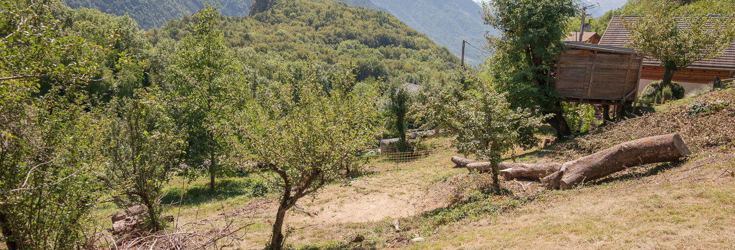 Photo N° 2