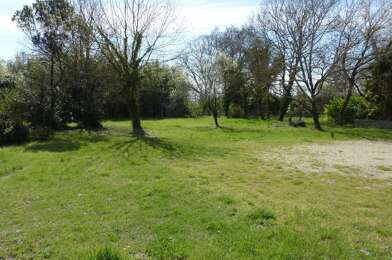 Terrain  115000 €