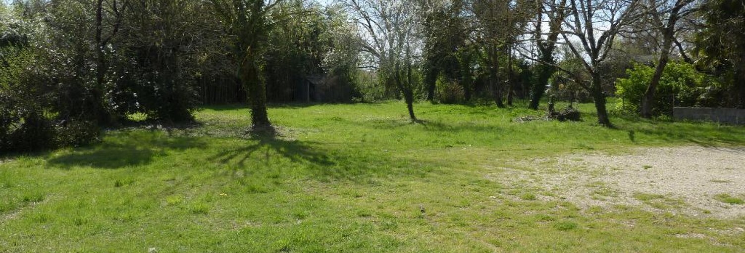 Terrain  600 m² à vendre à Loupes (33370)