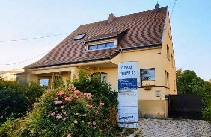 Immeuble local commercial (ancienne clinique vétérinaire) et logement spacieux — photo 2