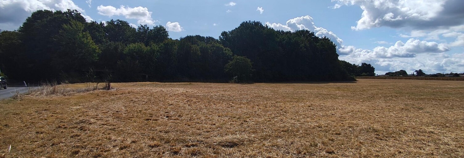 Terrain  2931 m² à vendre à Les Essards (17250)