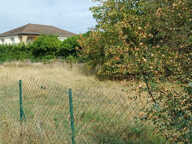 CORBAS   TERRAIN CONSTRUCTIBLE 570 m2   140 000 EUR — photo 3
