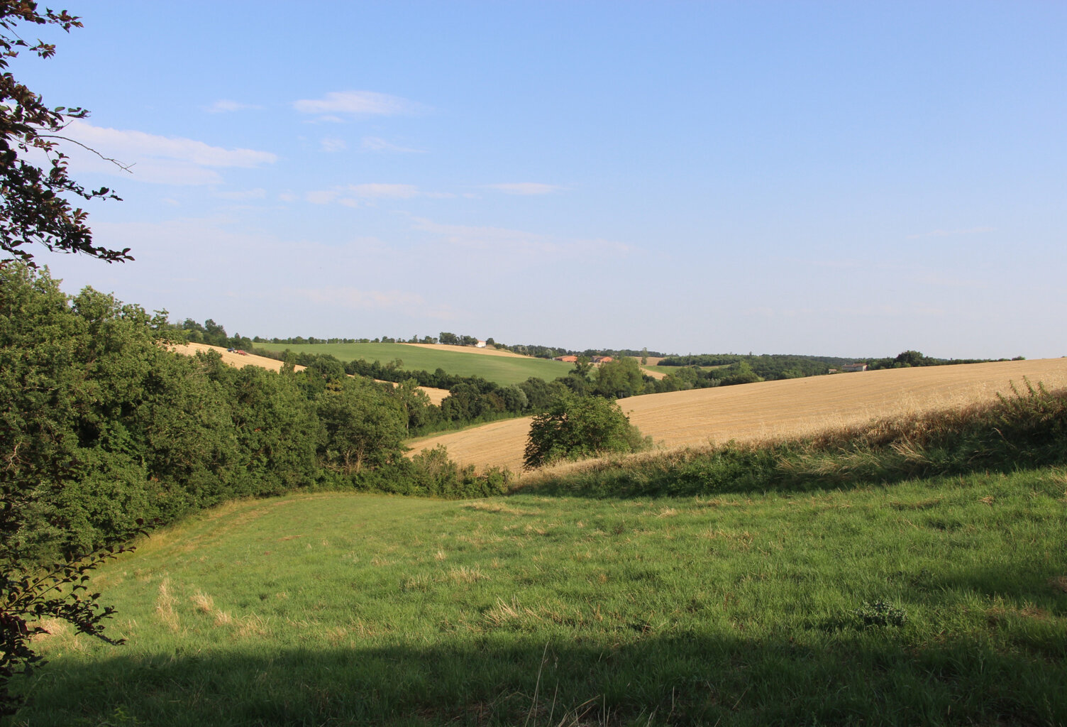 Terres agricoles — photo 1