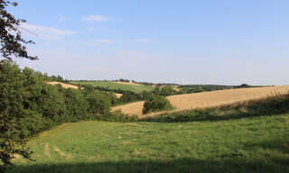 Terrain  60000 m² à vendre à Caraman (31460)