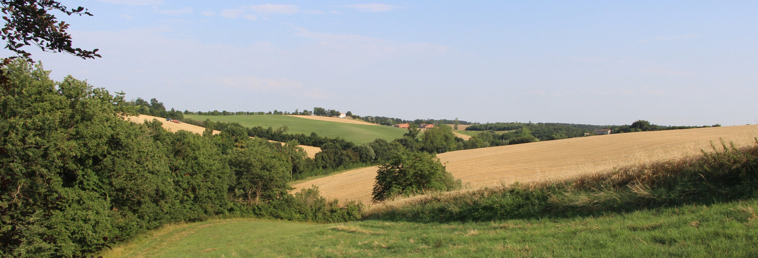 Terrain  60000 m² à vendre à Caraman (31460)