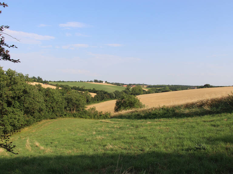 Terres agricoles — photo 1