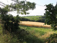 Terres agricoles — photo 2
