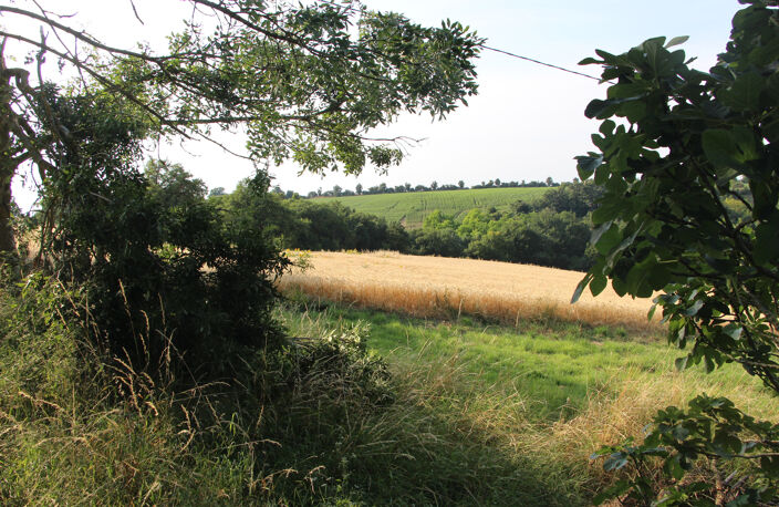 Terres agricoles — photo 2