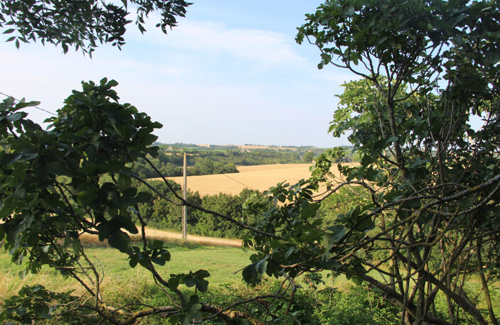 Terres agricoles — photo 3