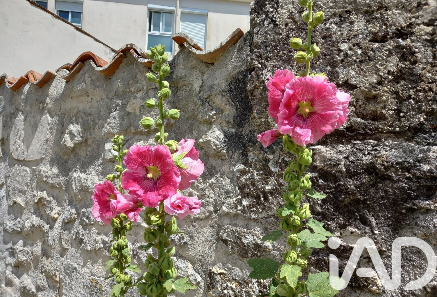 Vente Terrain à bâtir 232 m&sup2; — photo 1