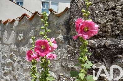 Terrain  75500 €