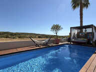 Villa coup de coeur , vue panoramique sur les vignes de Vill — photo 4