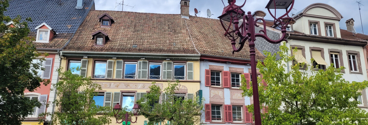 Appartement 7 Pièces 173 m² à vendre à Thann (68800)