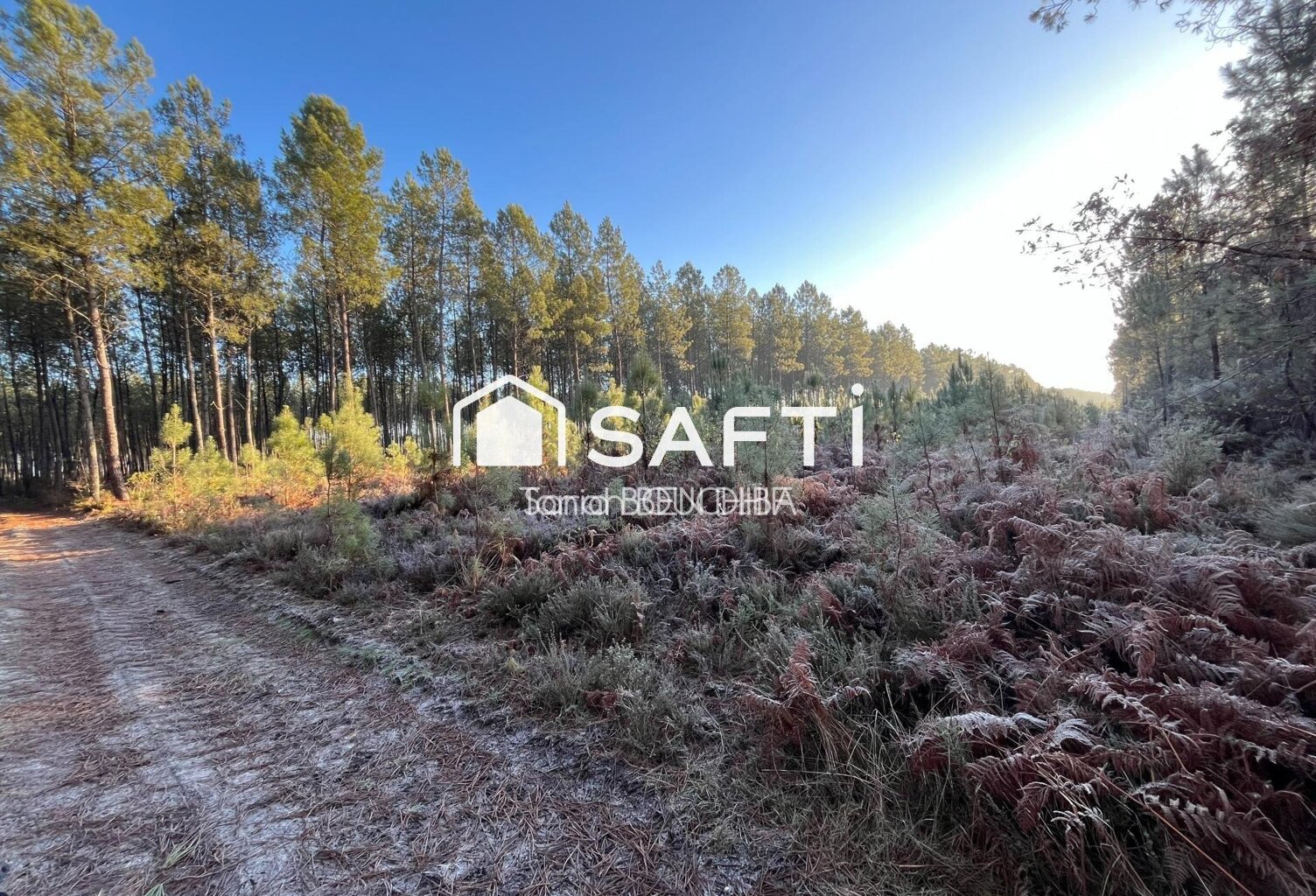 Terrain forestier — photo 1