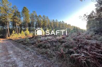 Terrain  12000 €