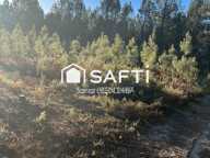 Terrain forestier — photo 2