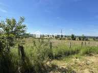 Dépendances en pierres sur un terrain de 4 ha — photo 4