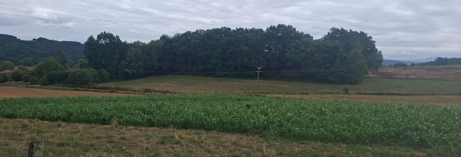 Terrain  150000 m² à vendre à Lustar (65220)