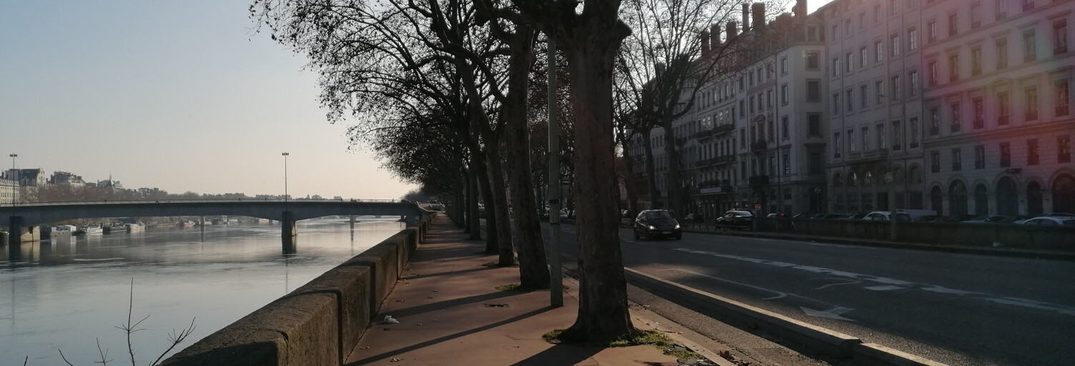 Appartement 2 Pièces 50 m² à louer à Lyon 1 (69001)