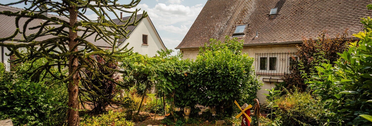 Maison 6 Pièces 114 m² à vendre à Ammerschwihr (68770)