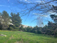 VENTE APPARTEMENT 4 PIECES  MONTPELLIER HOPITAUX FACULTÉS — photo 4
