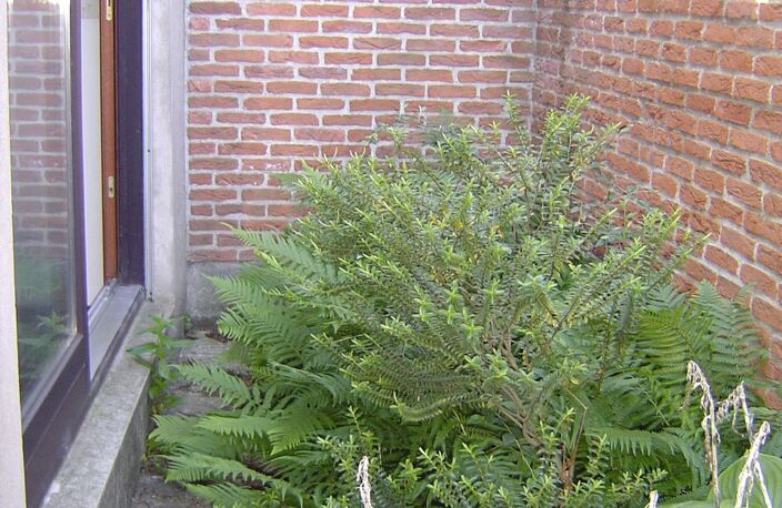 Local commercial — photo 3