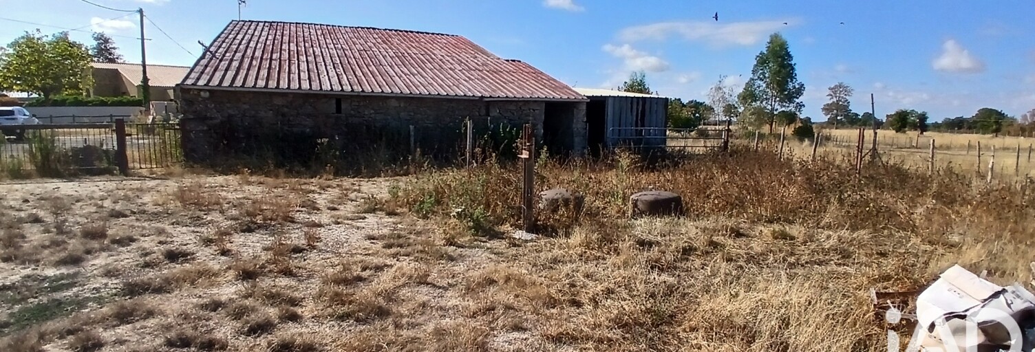 Photo N° 2