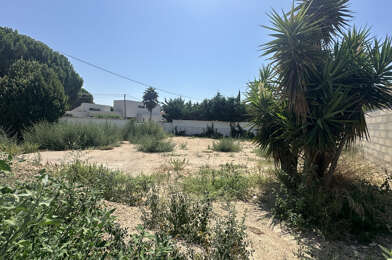 Terrain  341000 €