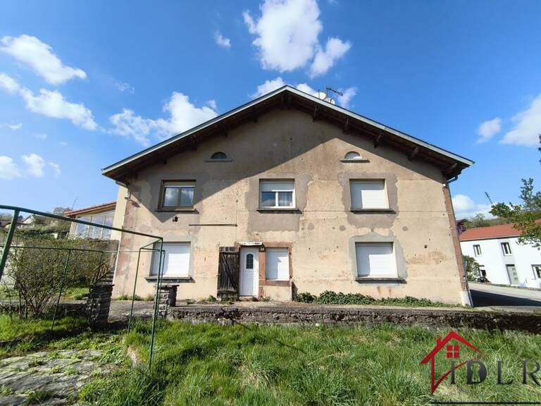 LÉPANGES-SUR-VOLOGNE   220 M2   2 LOGEMENTS   IMPORTANTES DÉ — photo 1
