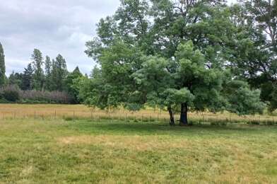 Terrain  30000 €