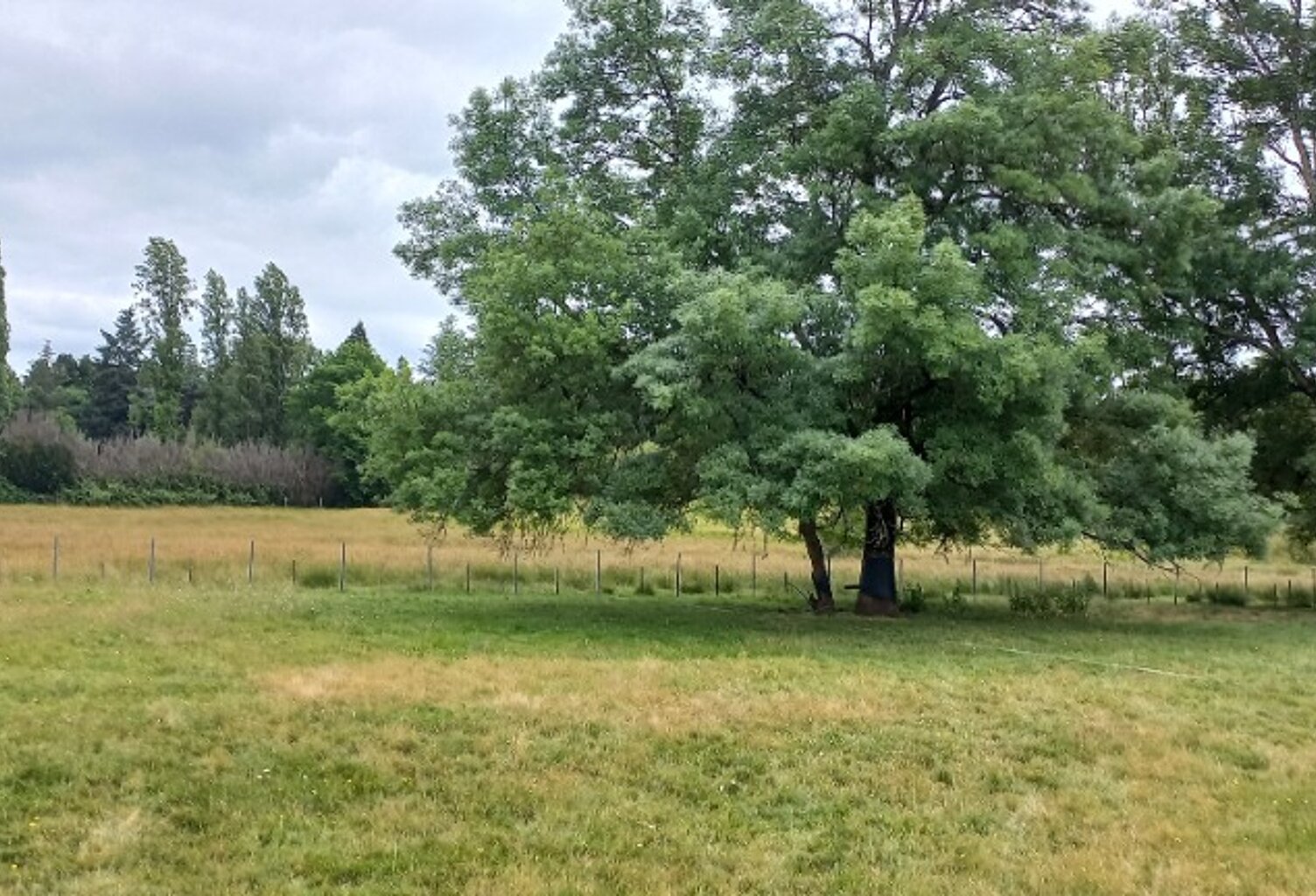 Terrain à bâtir à Ménesplet (24700) — photo 1