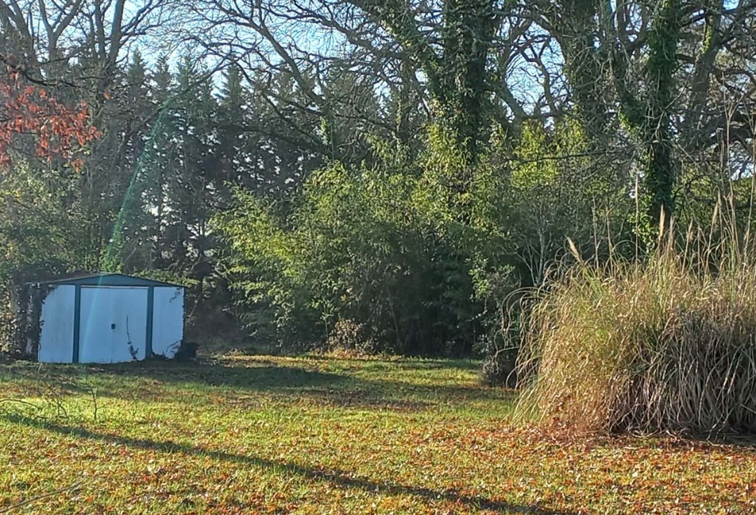 Terrain à bâtir à Minzac (24610) — photo 1