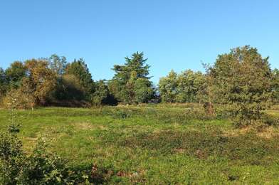 Terrain  23500 €