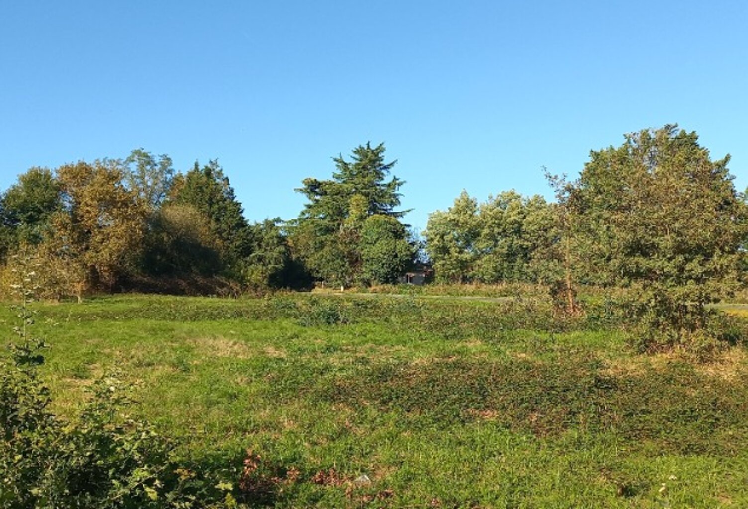 Terrain à bâtir à Saint-Rémy (24700) — photo 1