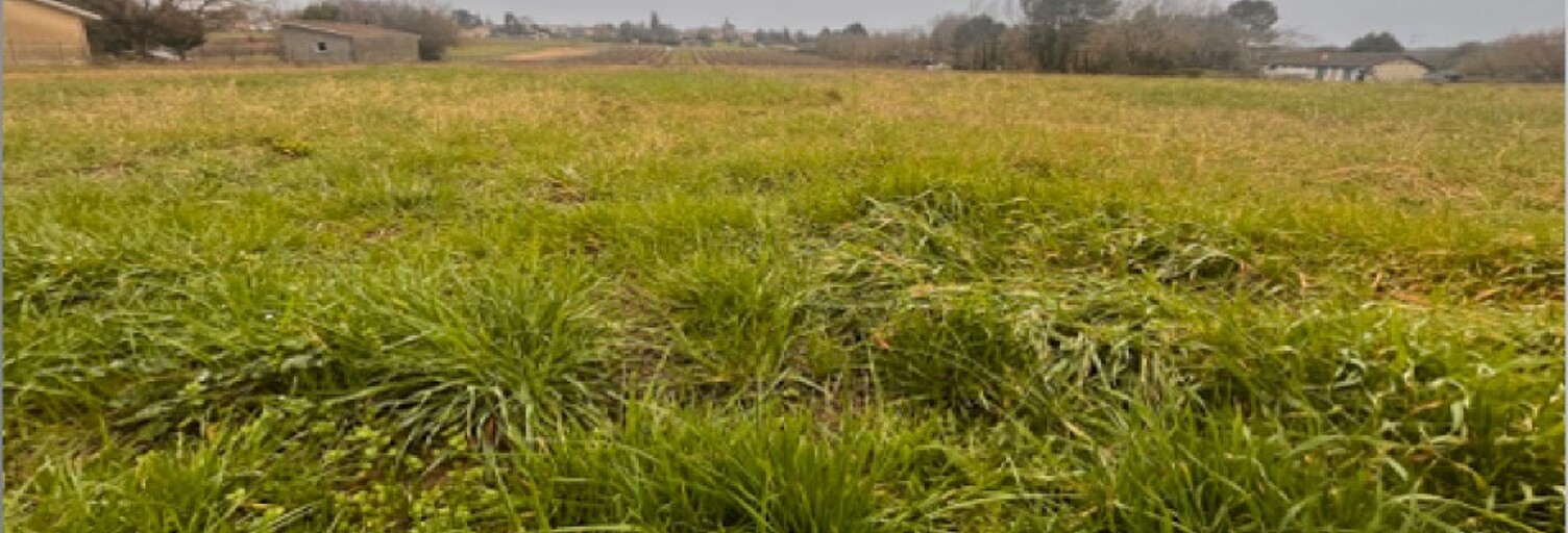 Terrain  750 m² à vendre à Frontenac (33760)
