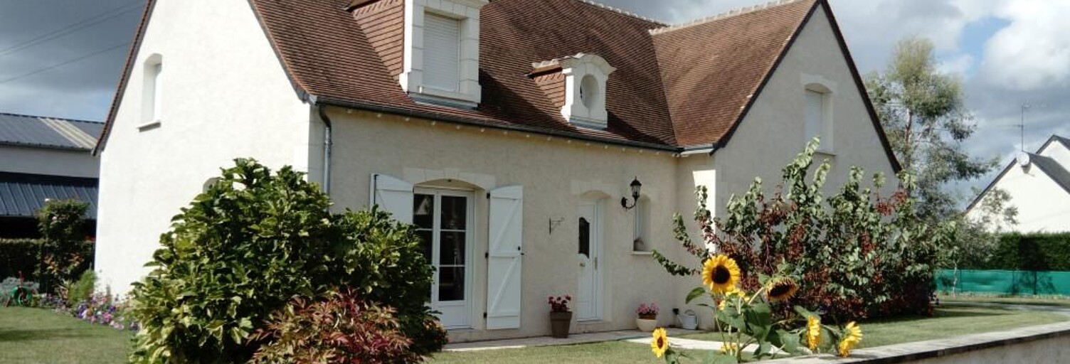 Appartement 1 Pièce 20 m² à louer à La Ville-aux-Dames (37700)