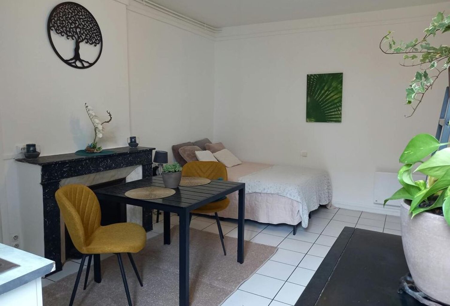 Studio de 24m2 à louer sur Dax — photo 1