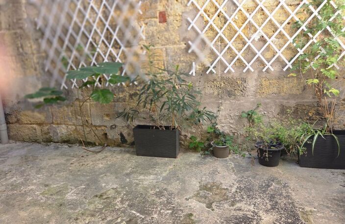 Appartement de 50m2 à louer sur Bordeaux — photo 4
