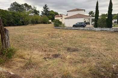 Terrain  55000 €