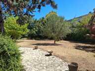 TOULOUSE - CUGNAUX - MAISON BOURGEOISE DE CARACTERE - 216 M² - PARC ARBORE DE 1000 M² — photo 4