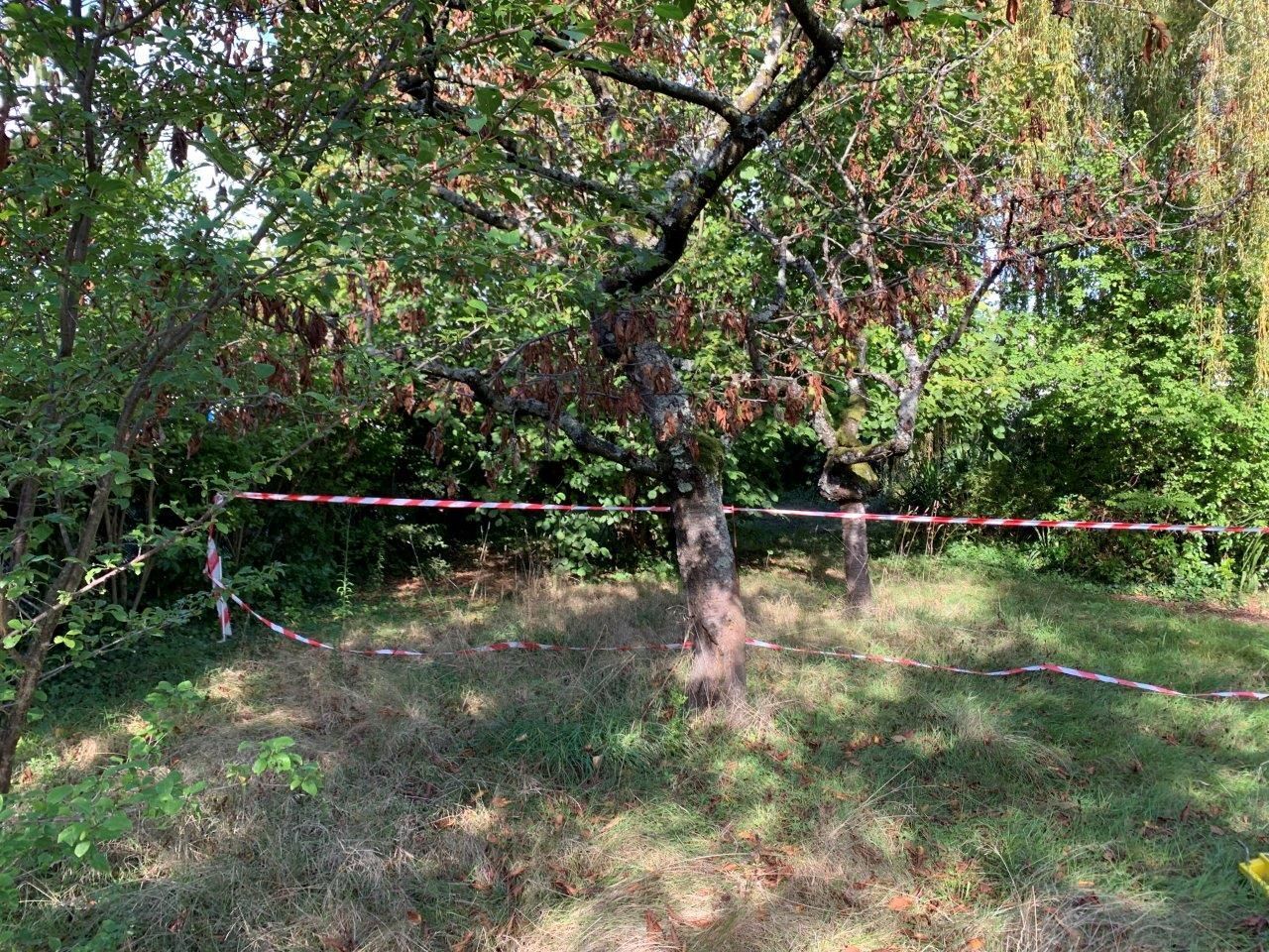 Terrain à bâtir de 310 m² à BREUX-JOUY (91)