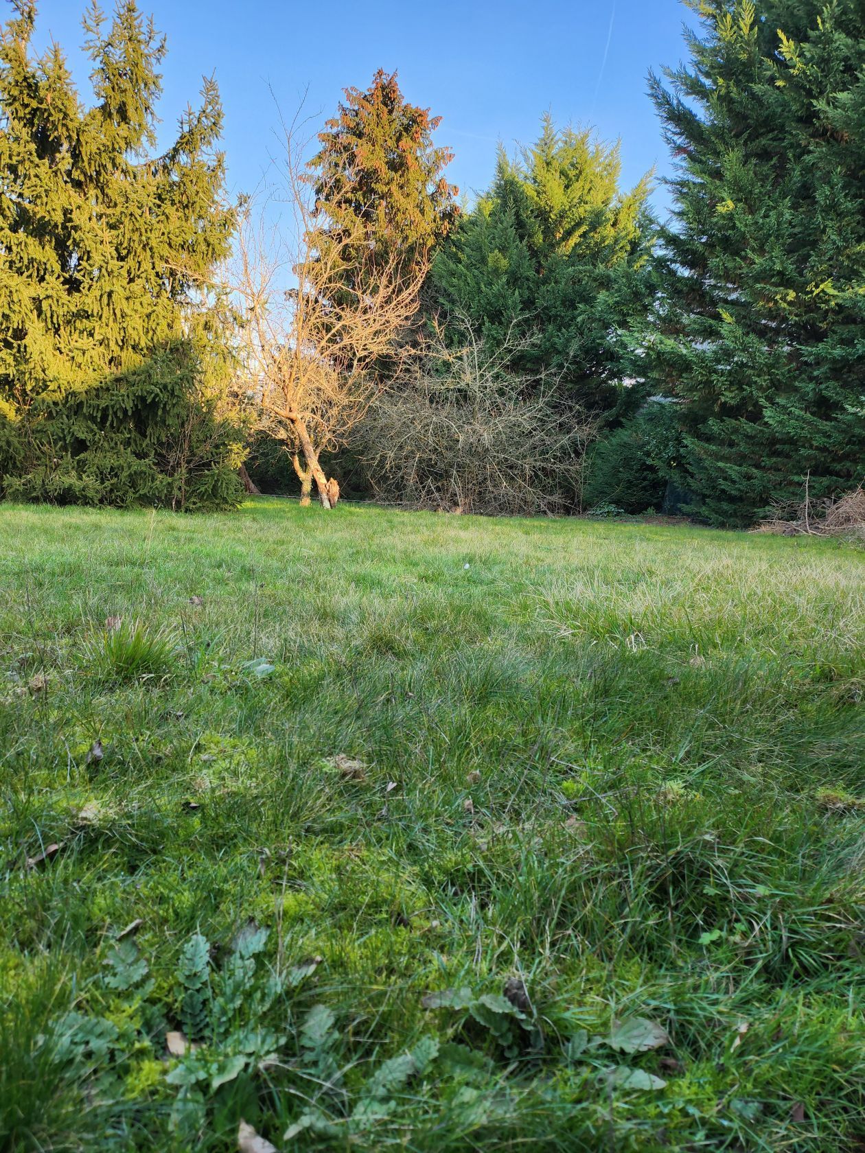 Terrain à bâtir de 301 m² à GIREMOUTIERS (77)