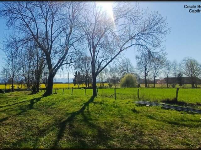 A proximité de Soumoulou, Terrain constructible 1200 m² environ avec un hangar de 80 m² — photo du bien